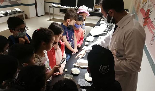 Ordu Kumru'da Fosil Bilimi Müzesi Açıldı