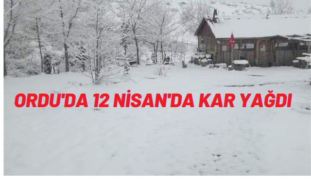 Bu Şaka Değil, Ordu'ya 12 Nisan'da Kar Yağdı