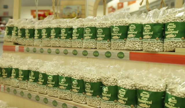 Ordu Akkuş Şeker Fasulyesi Paketleme Tesisi Uluslararası Hale Getiriliyor